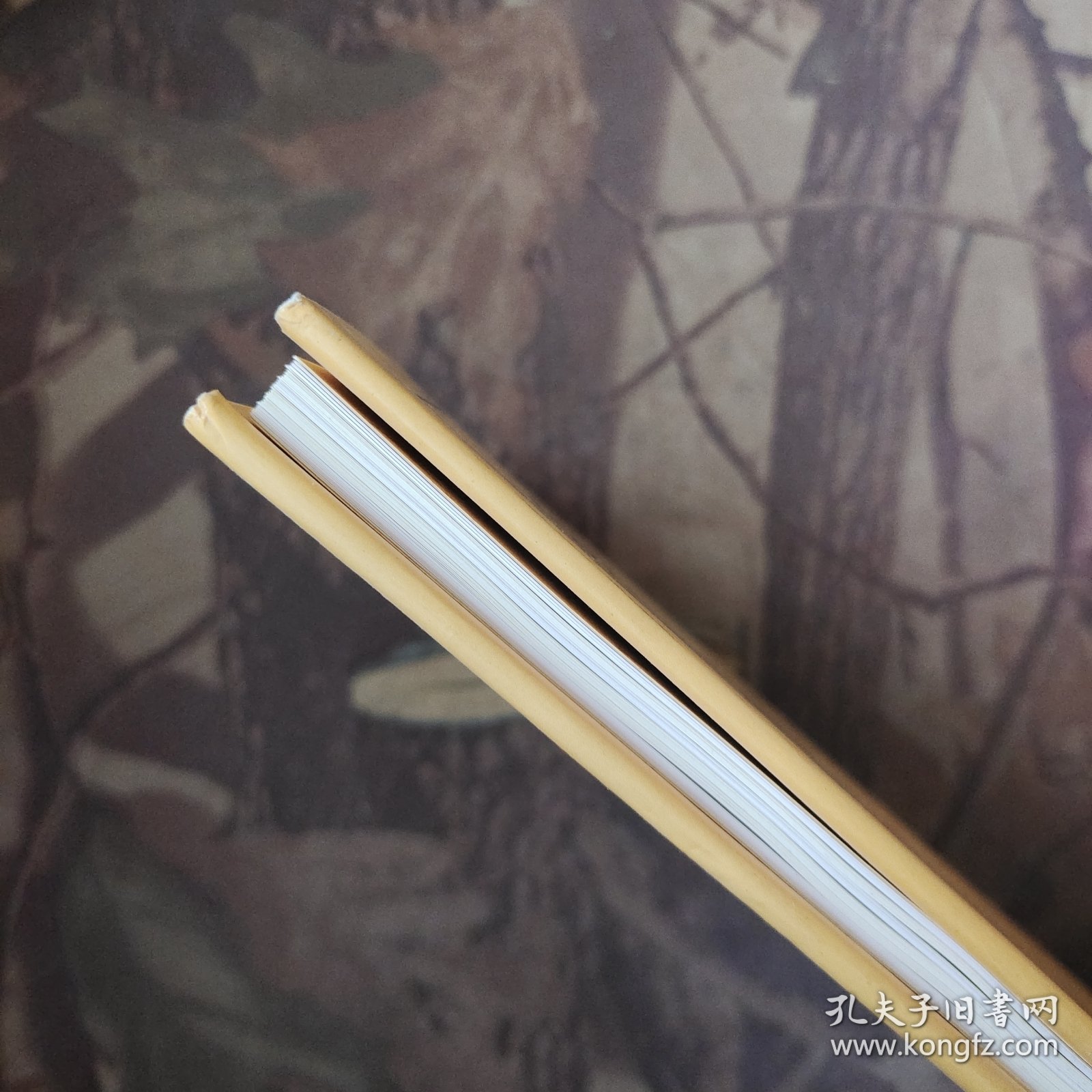 中国邮票大图典清代卷