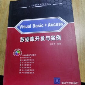 1+1数据库混合开发技术丛书：Visual Basic+Access数据库开发与实例