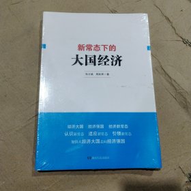 新常态下的大国经济