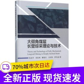 大傾角煤層長壁綜采理論與技術(shù)