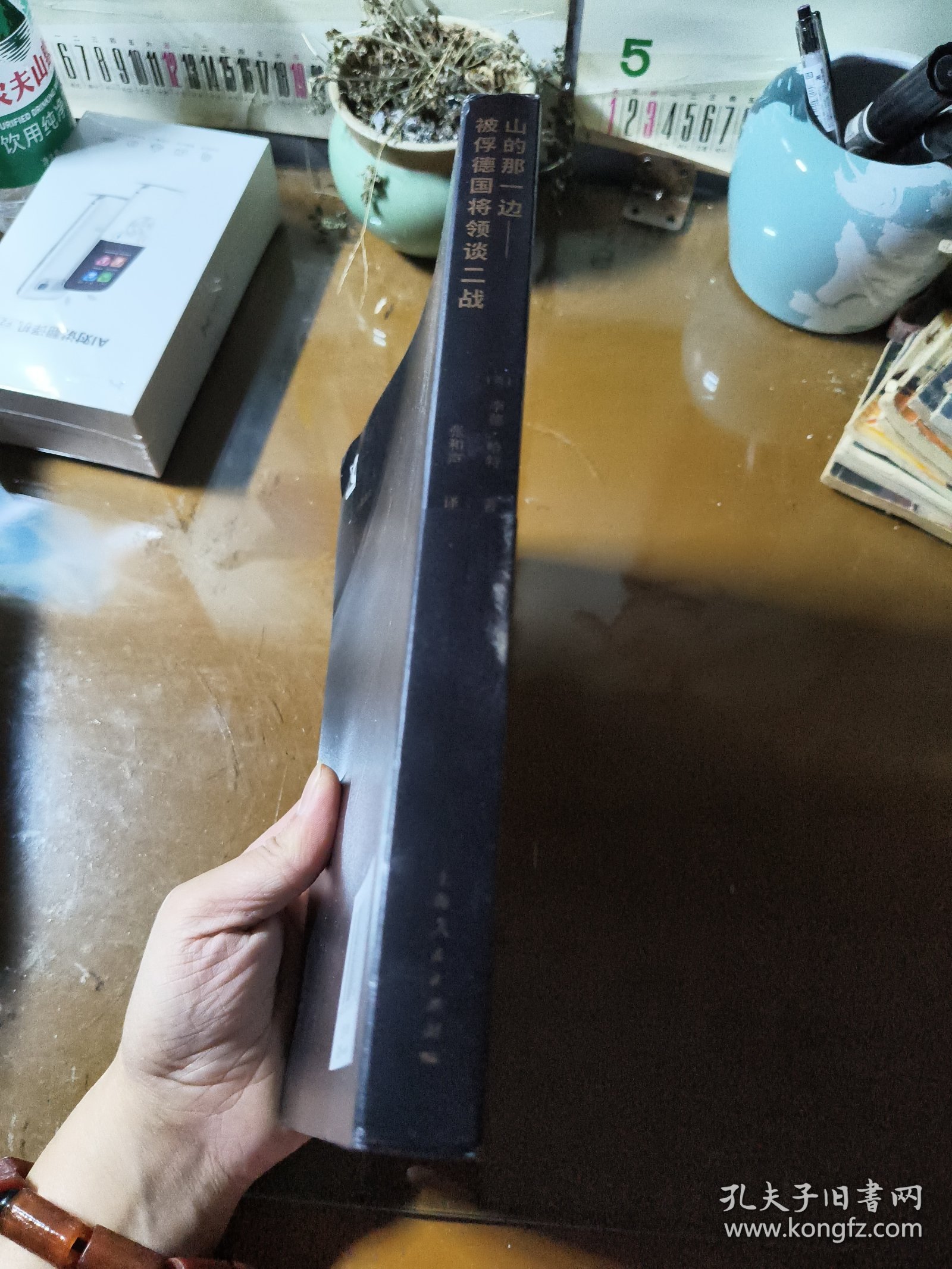 山的那一边：被俘德国将领谈二战