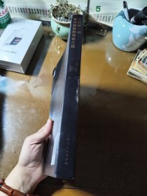 山的那一边：被俘德国将领谈二战