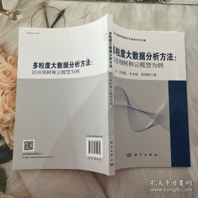 多粒度大数据分析方法：以引领树和云模型为例