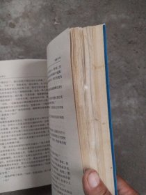 塞莱斯廷预言，