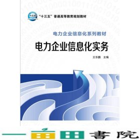 电力企业信息化实务王乐鹏中国电力出9787512385993