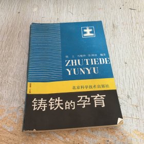 铸铁的孕育