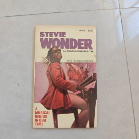 STEVIE WONDER（英文版）