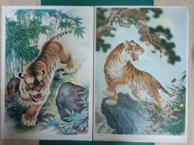 【苍松虎啸（二)】+【虎啸山林（一)】——名家作品《苍松虎啸》2开，赵奎生作，天津杨柳青画社出版(1986.6)。《虎啸山林》（一)王子学作，武强年画社出版（1987)——更多年画请进作店选拍选购！编号976