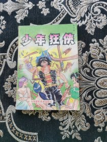 少年狂侠