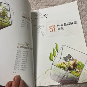 苔藓微景观魔法书【魔法DIY打造苔藓微景观，让您成就感爆棚】