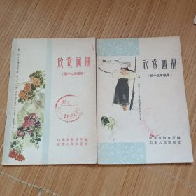 欣赏画册（初中二、三年级用）两本合售。（卖家承担运费，发邮局挂刷，认可再下单）