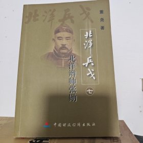 长篇历史传记・北洋兵戈全10册详细见描述