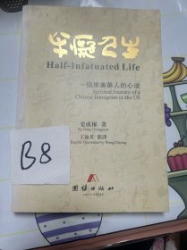 半癡人生