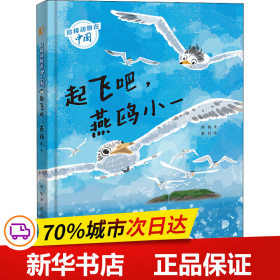 保正版！珍稀动物在中国 起飞吧,燕鸥小一9787573601742青岛出版社秌秋