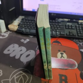 无爱纪（一版一印）