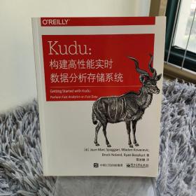 Kudu：构建高性能实时数据分析存储系统(博文视点出品)