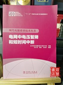 现代电能质量技术丛书 电网中电压暂降和短时间中断