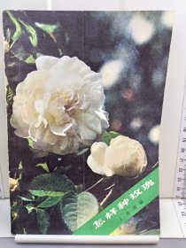 怎样种玫瑰