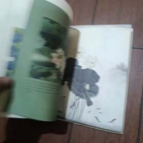 蝴蝶 蝴蝶我爱过你吗