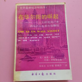 在华尔街的崛起：一个人怎样利用已有的知识在股票市场赚钱