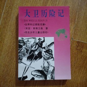 大卫历险记
