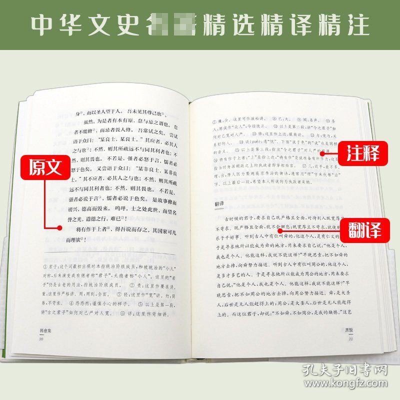 韩愈集（中华文史名著精选精译精注：全民阅读版/章培恒 安平秋 马樟根主编）黄永年导读 李国祥审阅