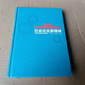 社会企业家精神——创造性地破解社会难题