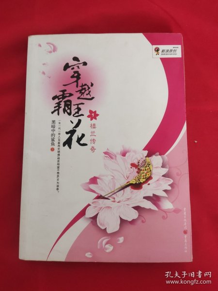 穿越霸王花1：楼兰传奇