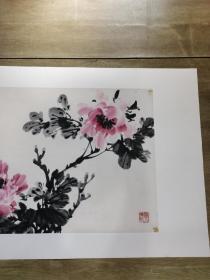 邵仲节牡丹（画芯68x45㎝）