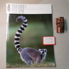 摄影世界200606，总第294期