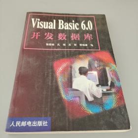 Visual Basic 6.0开发数据库