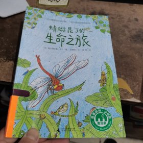 魔法象故事森林少年游ME053 蜻蜓昆丁的生命之旅