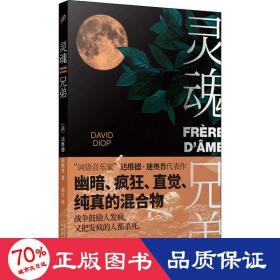 灵魂兄弟 外国现当代文学 (法)达维德·迪奥普