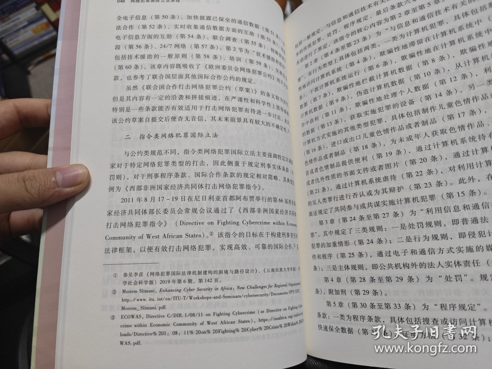 网络犯罪国际立法原理/网络空间国际法文库