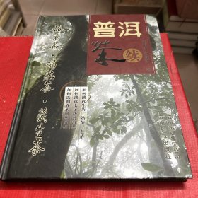 普洱茶：续