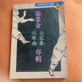 中华武术大观（4）张业金专辑：岳家拳技击术