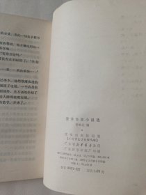 香港作家小说选
