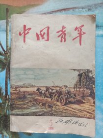 中国青年1956 5