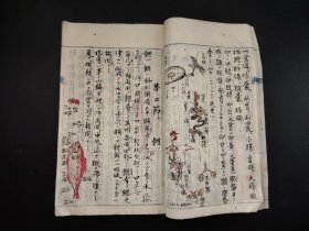 线装手写书法本1887年《博物讲义》册全，手绘彩色画，动物 植物 人体 等等，书法流畅，手绘画精美，尺寸25*17