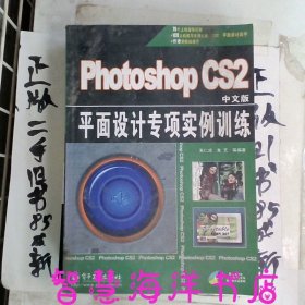 Photoshop CS2中文版平面设计专项实例训练