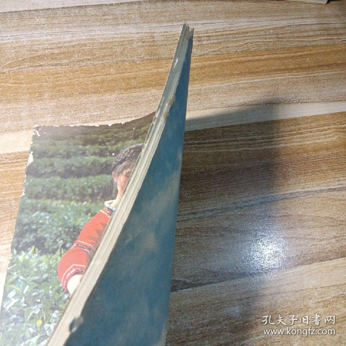 中国茶叶1985年第3期