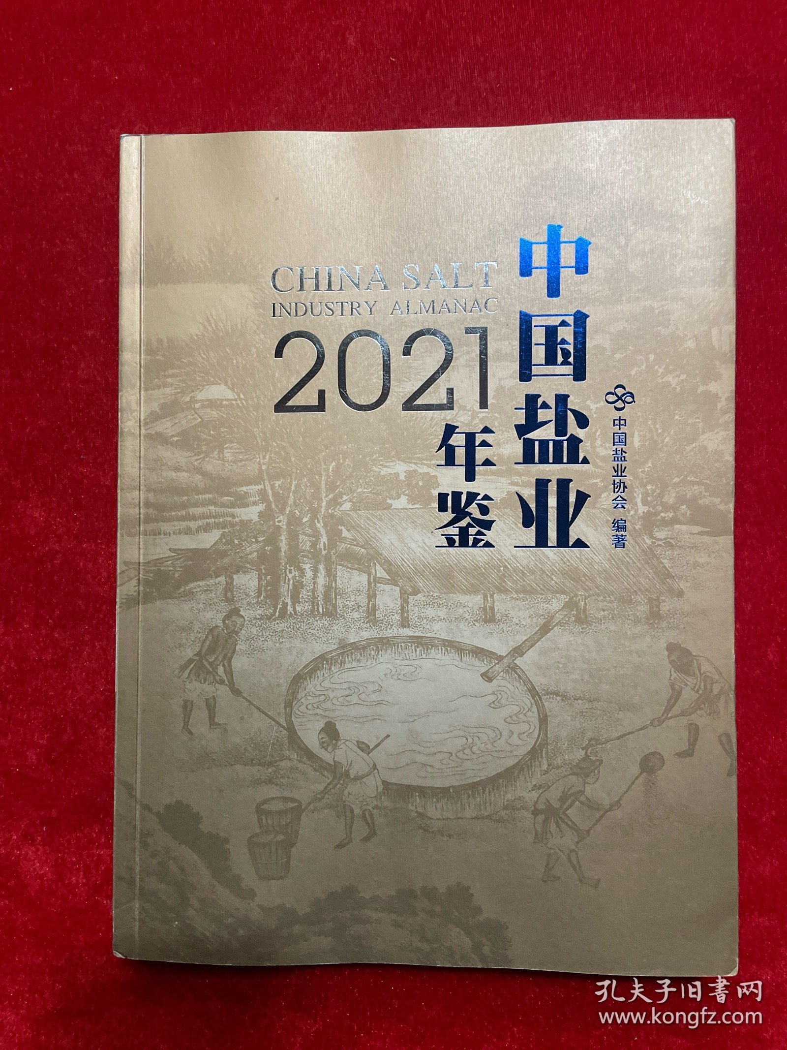 中国盐业年鉴2021