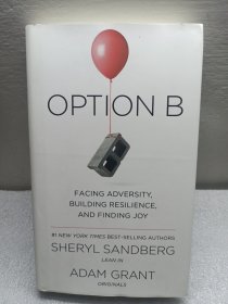 Option B: Facing Adversity, Building Resilience, and Finding Joy