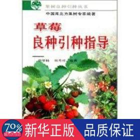 草莓良种引种指导 种植业 唐梁楠