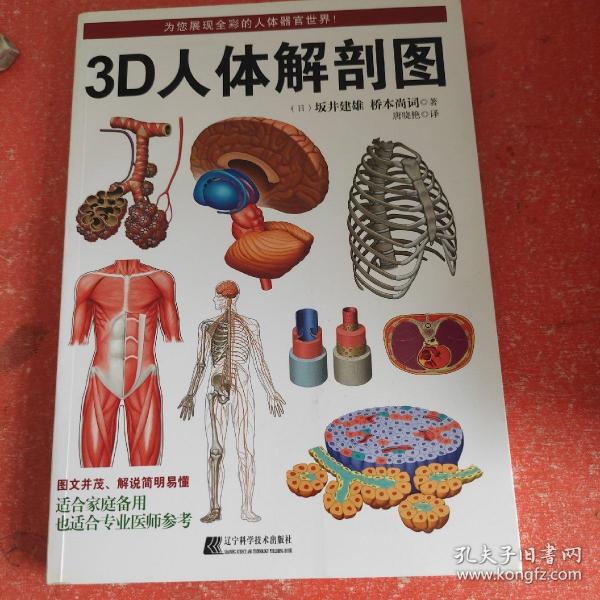 3D人体解剖图