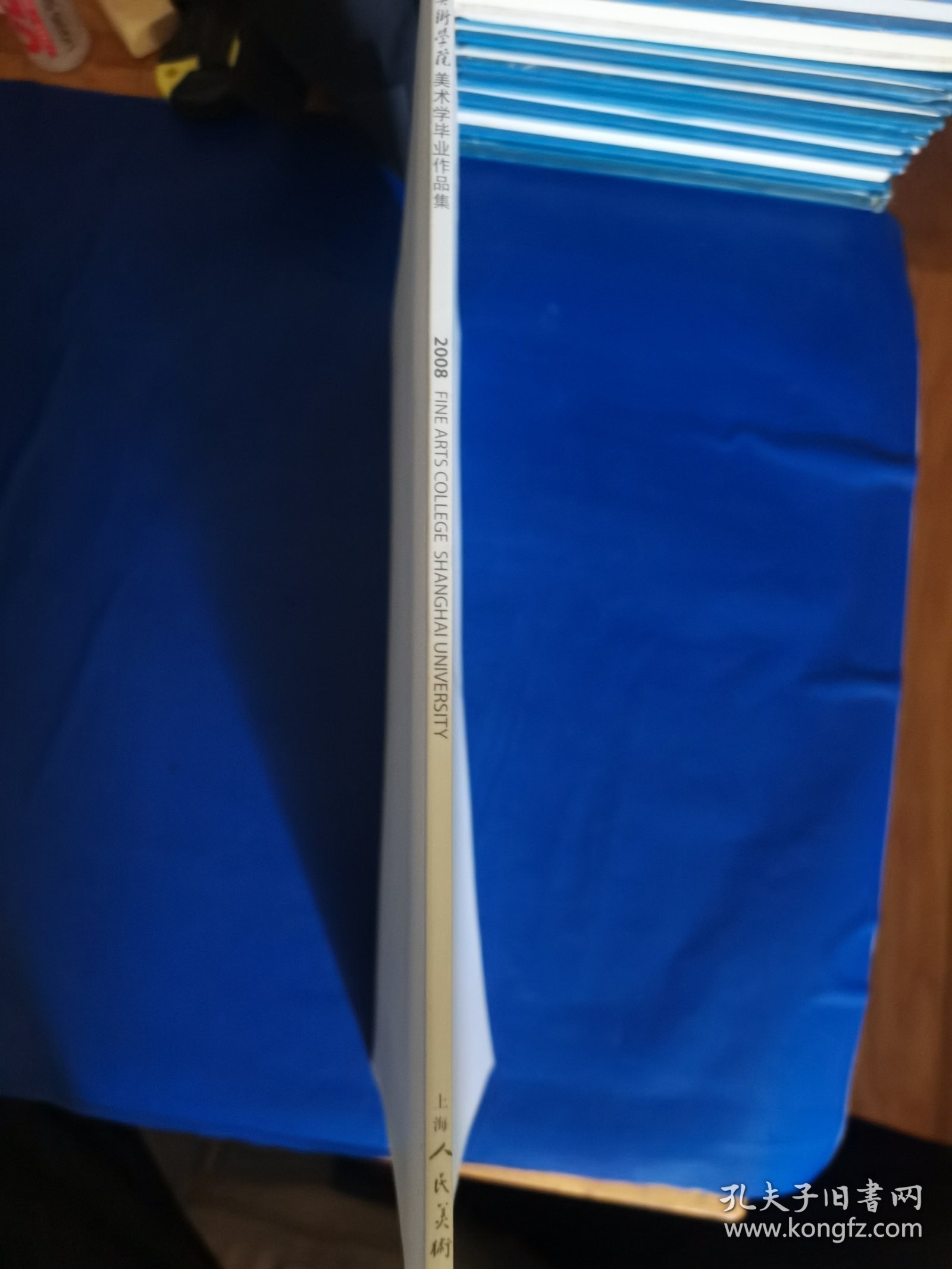 上海大学美术学院美术学2008毕业作品集