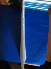 上海大学美术学院美术学2008毕业作品集