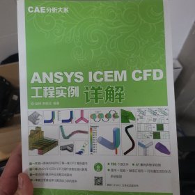 ANSYS ICEM CFD工程实例详解