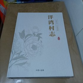 洋湾村志 （江苏省盐城市）大16开，精装本!