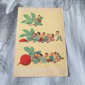 五十年代《拔萝卜》画片(有版权)